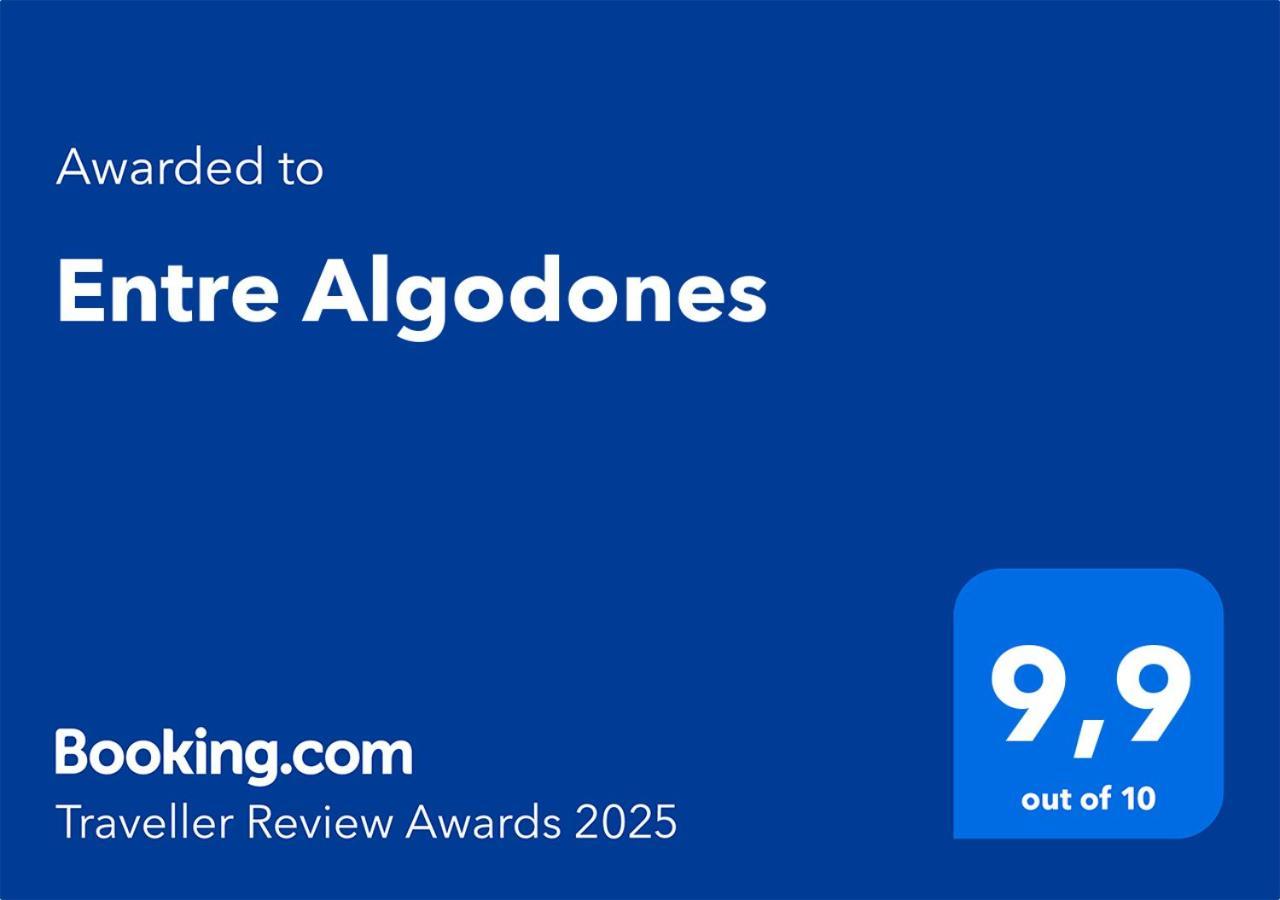 Entre Algodones Apartment *